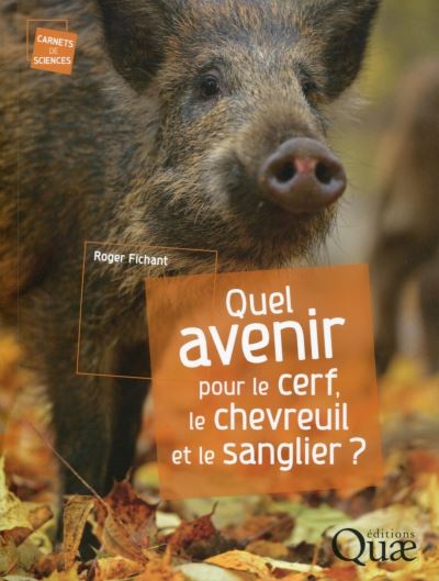 Quel avenir pour le cerf, le chevreuil et le sanglier ? (Fichant)